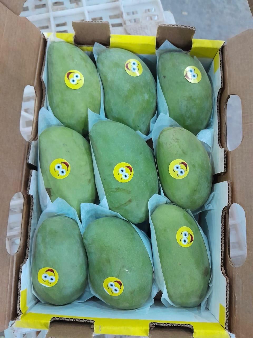 Mango