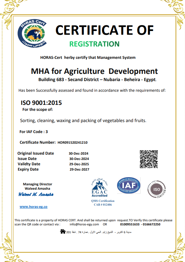 ISO 9001:2015