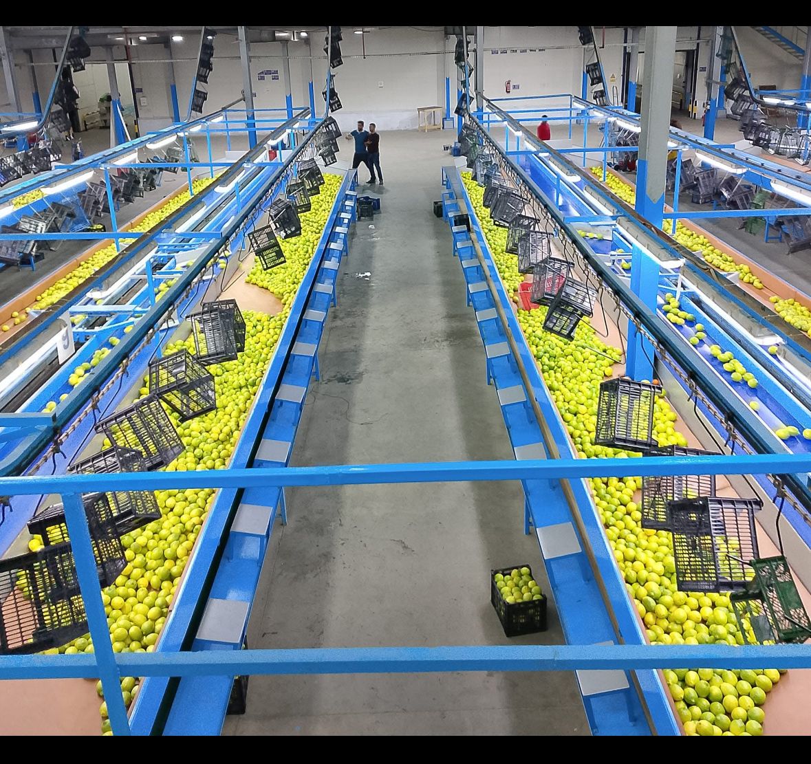 Al Attar station processing line