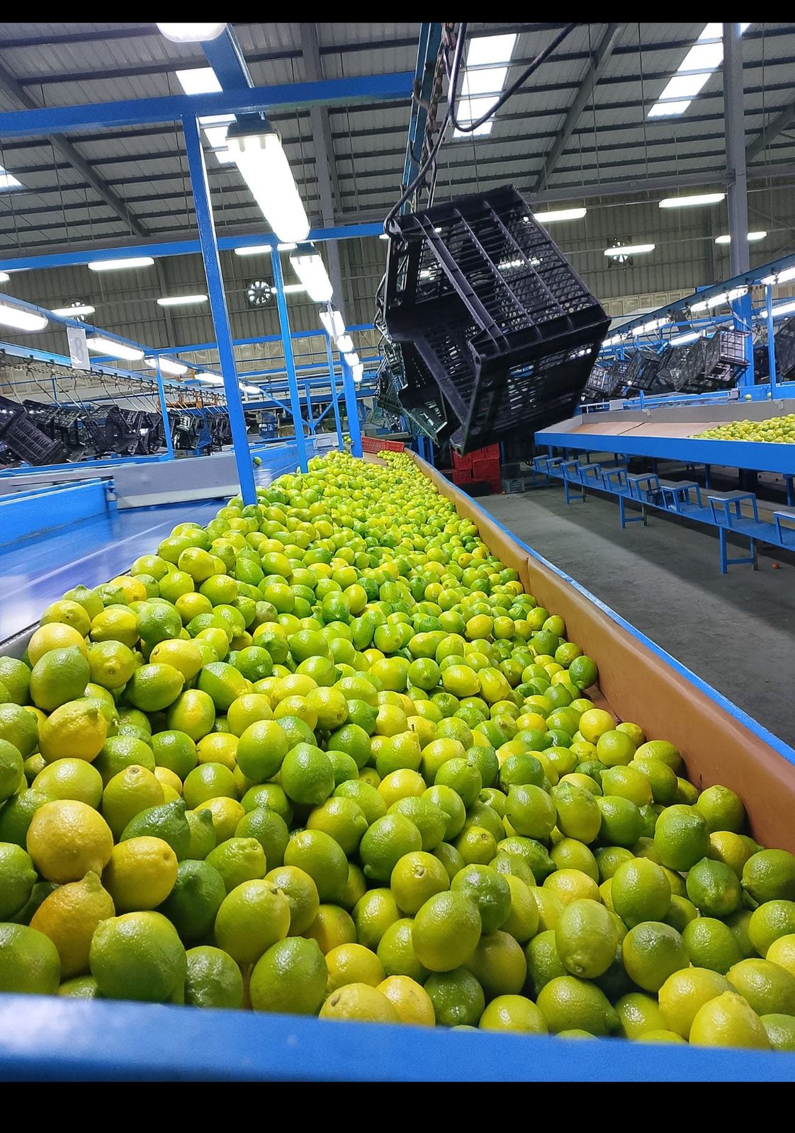 Al Attar station sorting and handling