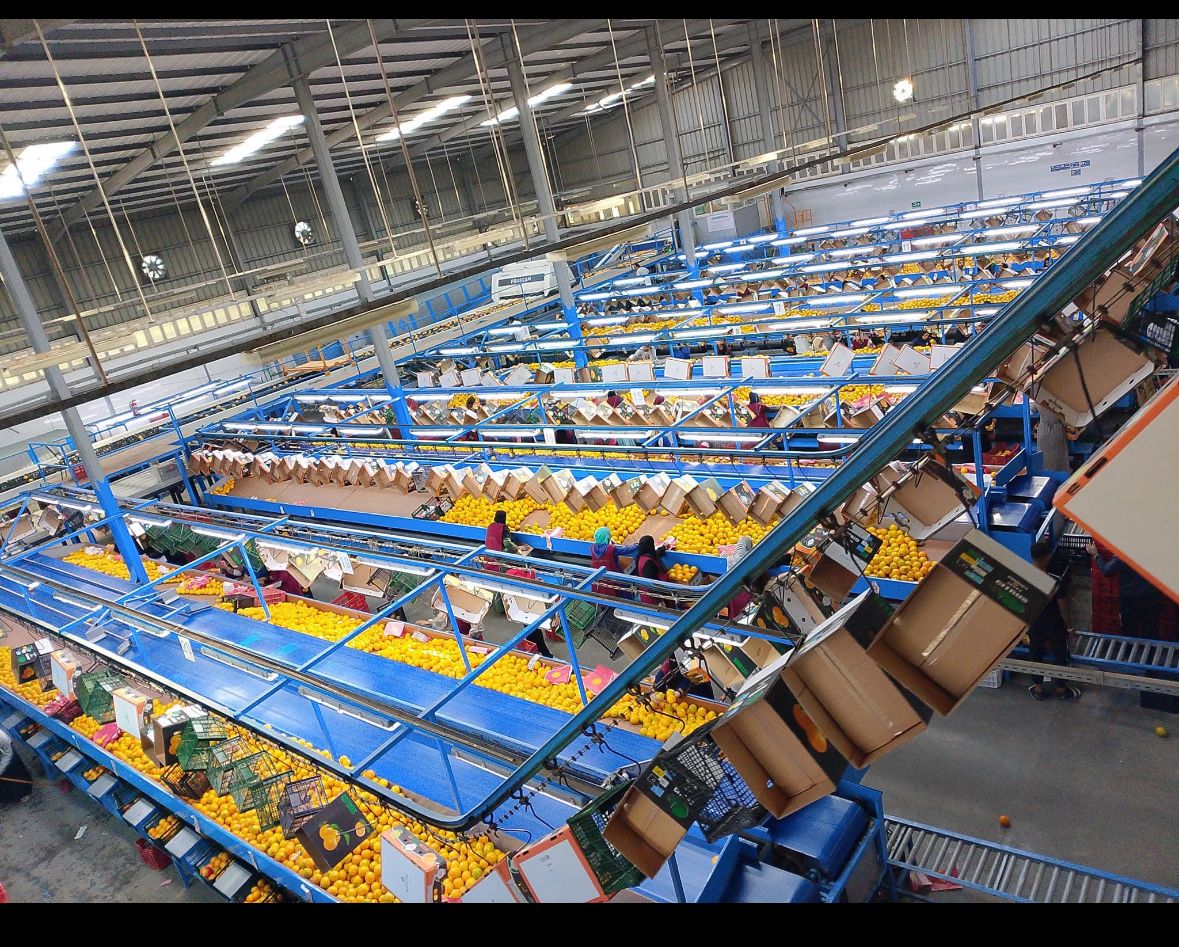 QTC optical sorting
