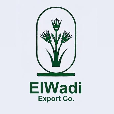 El-Wadi