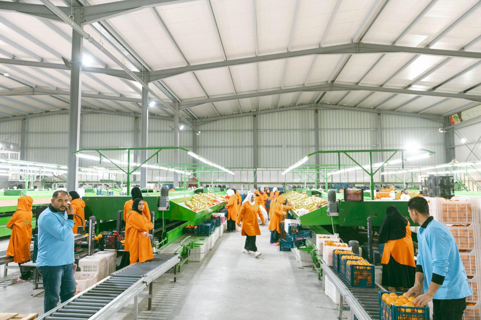 MHA station sorting line